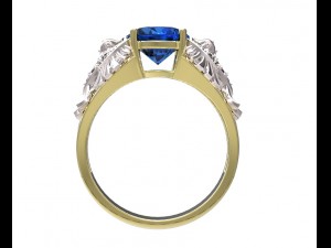 ring 115 3D-Druckmodell