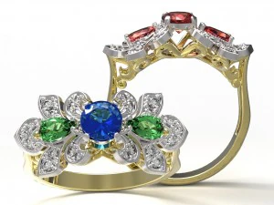 halka 116 3D Baskı Modeli