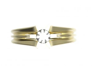 ring 117 3D Print Model