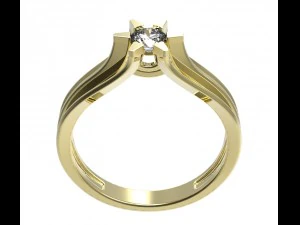 ring 117 3D Print Model