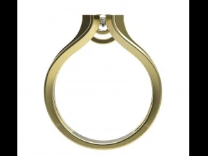 ring 117 3D Print Model