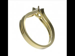 ring 117 3D Print Model