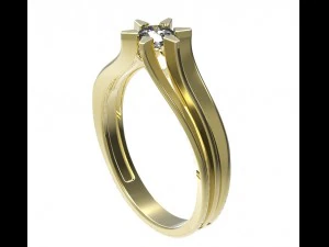 ring 117 3D Print Model