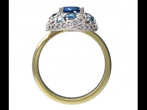 ring 119 3D Print Model