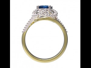 ring 120 3D Print Model