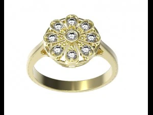 ring 128 3D Print Model