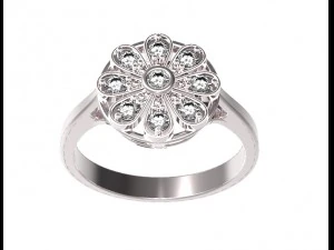 ring 128 3D Print Model