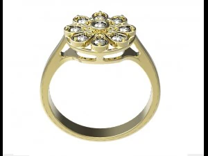 ring 128 3D Print Model