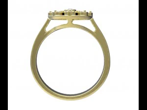 ring 128 3D Print Model