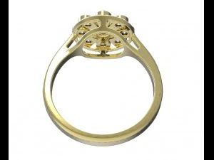ring 128 3D Print Model
