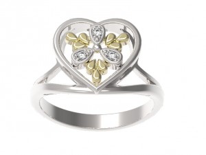 ring 131 3D Принт Модель