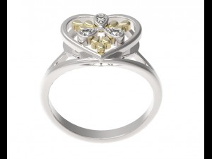ring 131 3D Принт Модель