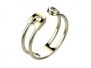 ring 142 3D Print Model