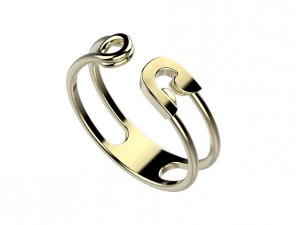 ring 142 3D Print Model