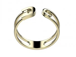 ring 142 3D Print Model