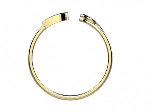ring 142 3D प्रिंट मॉडल