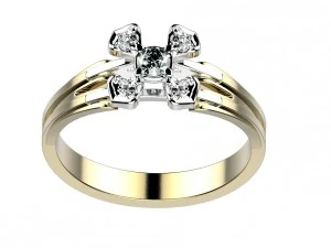 ring 143 3D Print Model