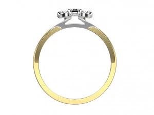 ring 143 3D Print Model