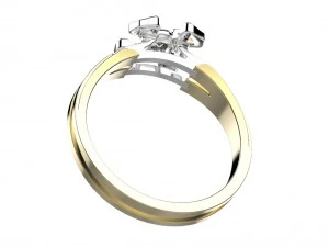 ring 143 3D Print Model