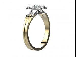 ring 143 3D Print Model