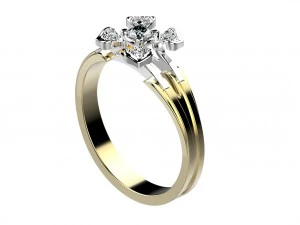 ring 143 3D Print Model