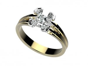 ring 143 3D Print Model