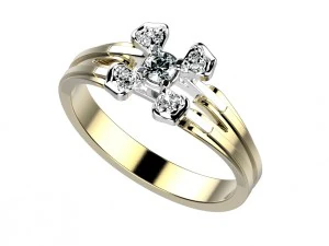 ring 143 3D Print Model