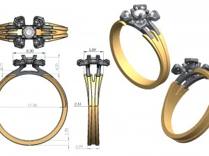 ring 143 3D Print Model