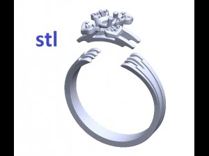 ring 143 3D Print Model