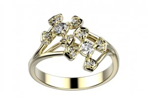 ring 144 3D Print Model