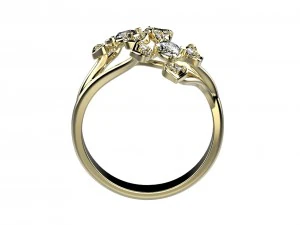ring 144 3D Print Model
