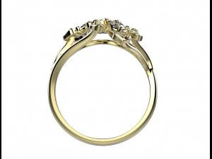 ring 144 3D Print Model