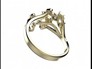 ring 144 3D Print Model