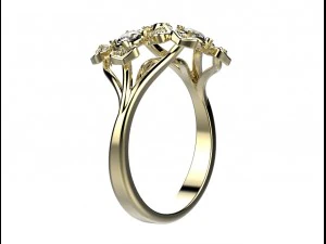 ring 144 3D Print Model