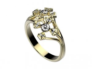 ring 144 3D Print Model