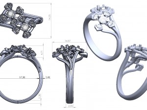 ring 144 Modelo de impresión 3D