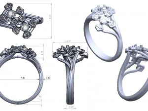 ring 144 3D Print Model