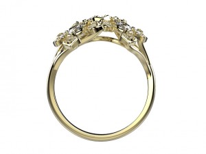 ring 145 Modèles 3D en vedette
