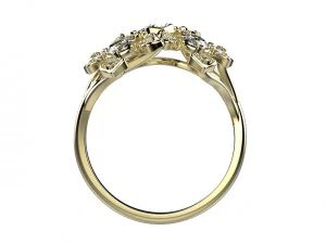 anello 145 Modello di stampa 3D