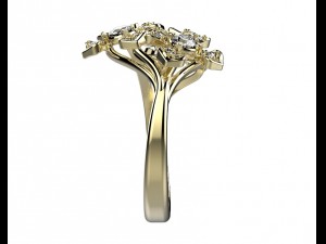 ring 145 Modèles 3D en vedette