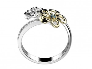 ring 146 3D Print Model