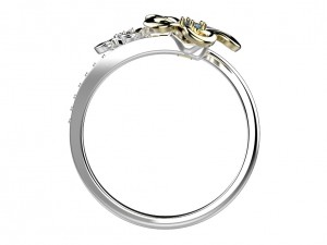 ring 146 3D Print Model