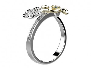 ring 146 3D Print Model