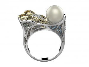 ring 147 3D Print Model