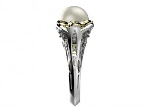 ring 147 3D Print Model