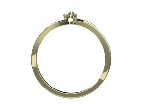 ring 150 3D Print Model