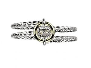 ring 151 3D Print Model