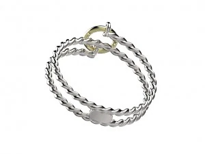 ring 151 3D Print Model