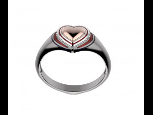 ring 154 3D-printmodel