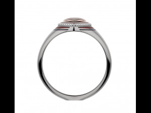 ring 154 3D-printmodel